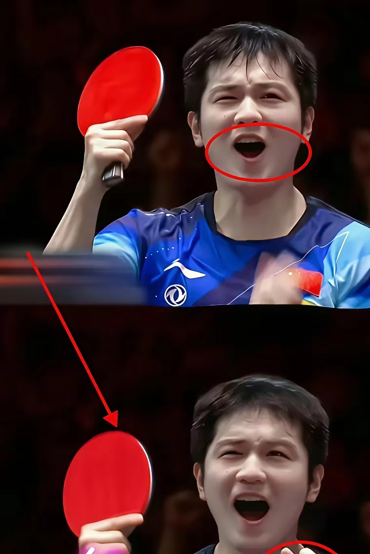 包含瑞典队力克韩国队，樊振东高光表现的词条