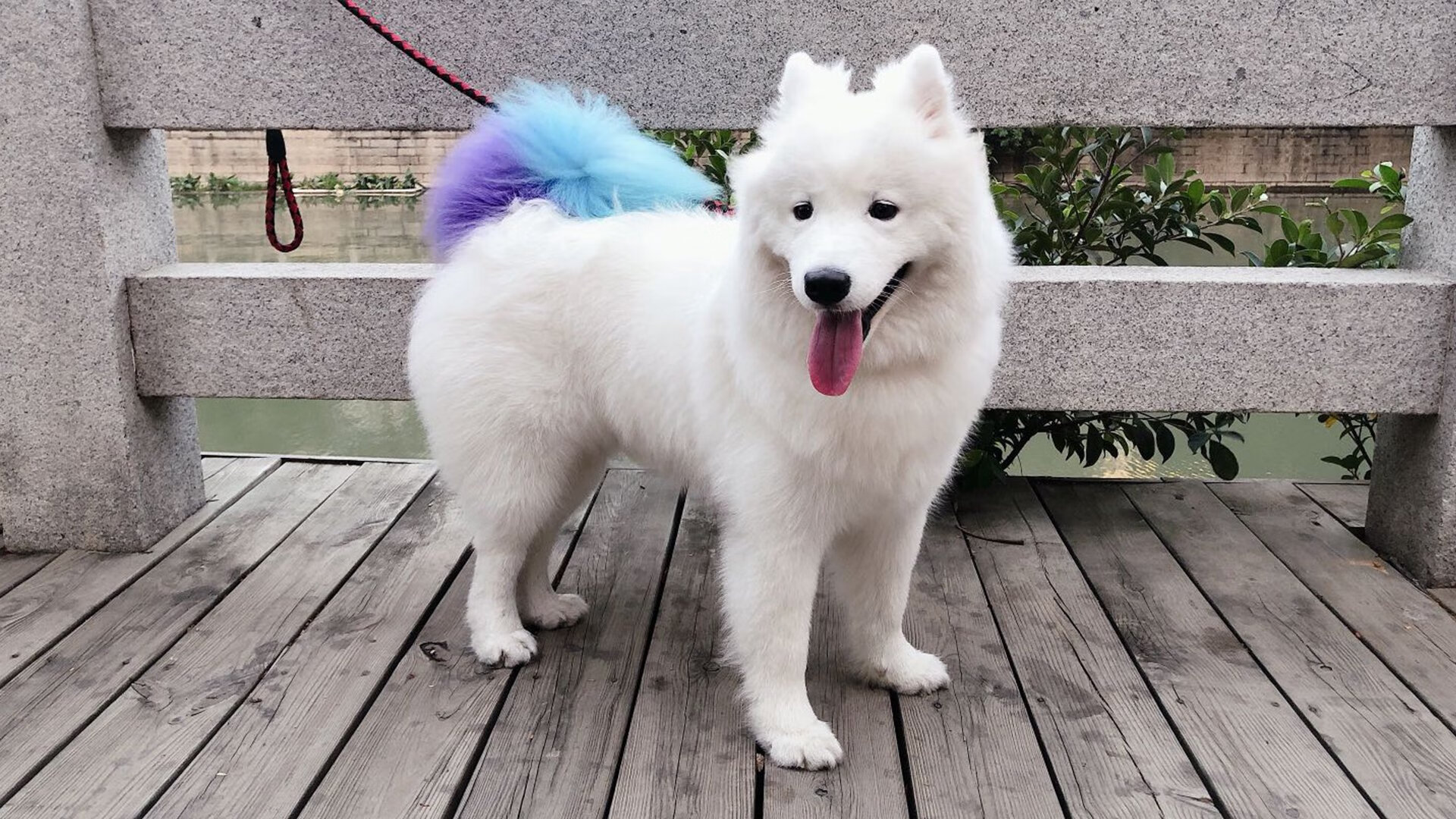 土耳其风暴与韩国铁闸，当悬念提前终结，金玟哉已成现象