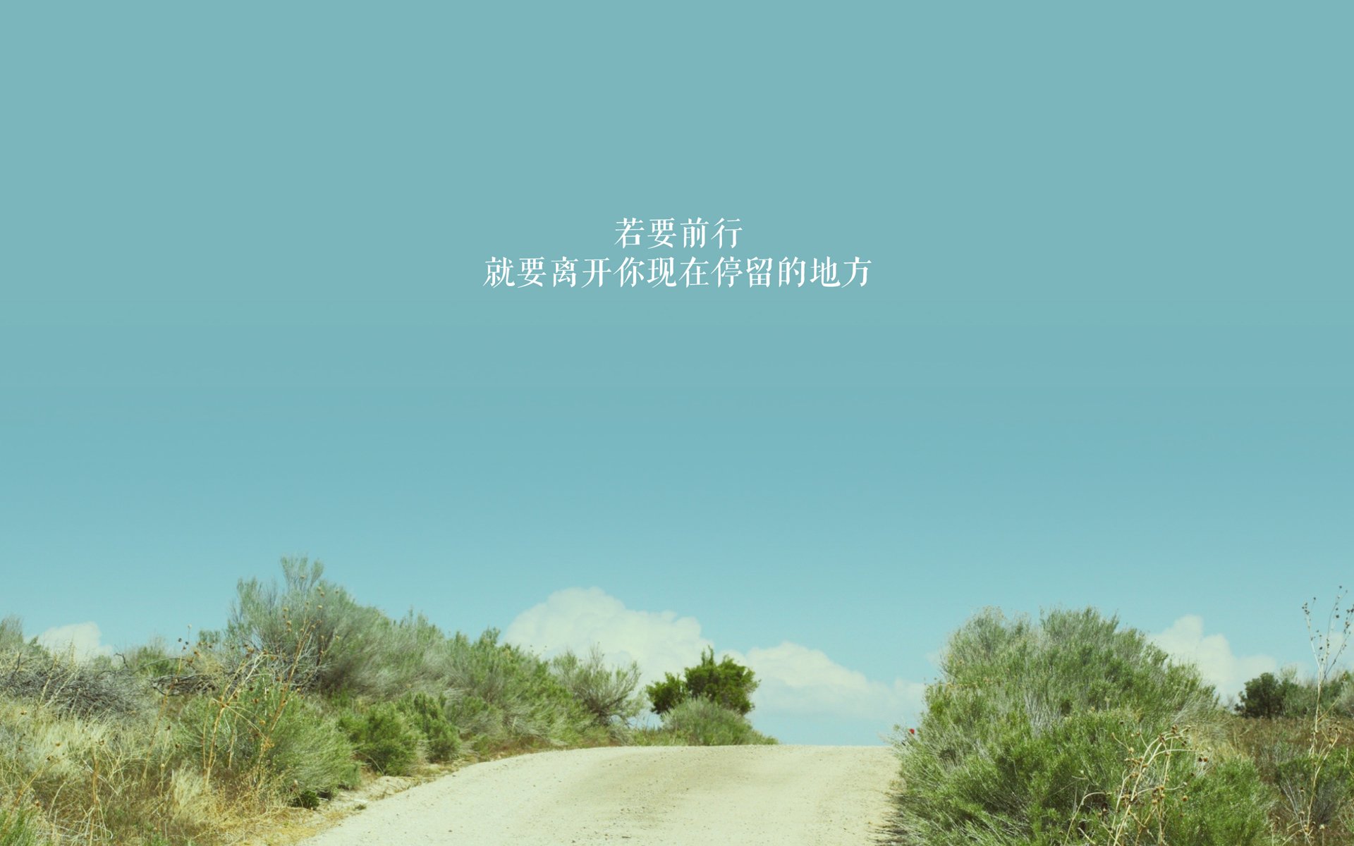 开云sport-唯一舞步，蒂亚戈的制胜一击与安哥拉对玻利维亚的战术压制