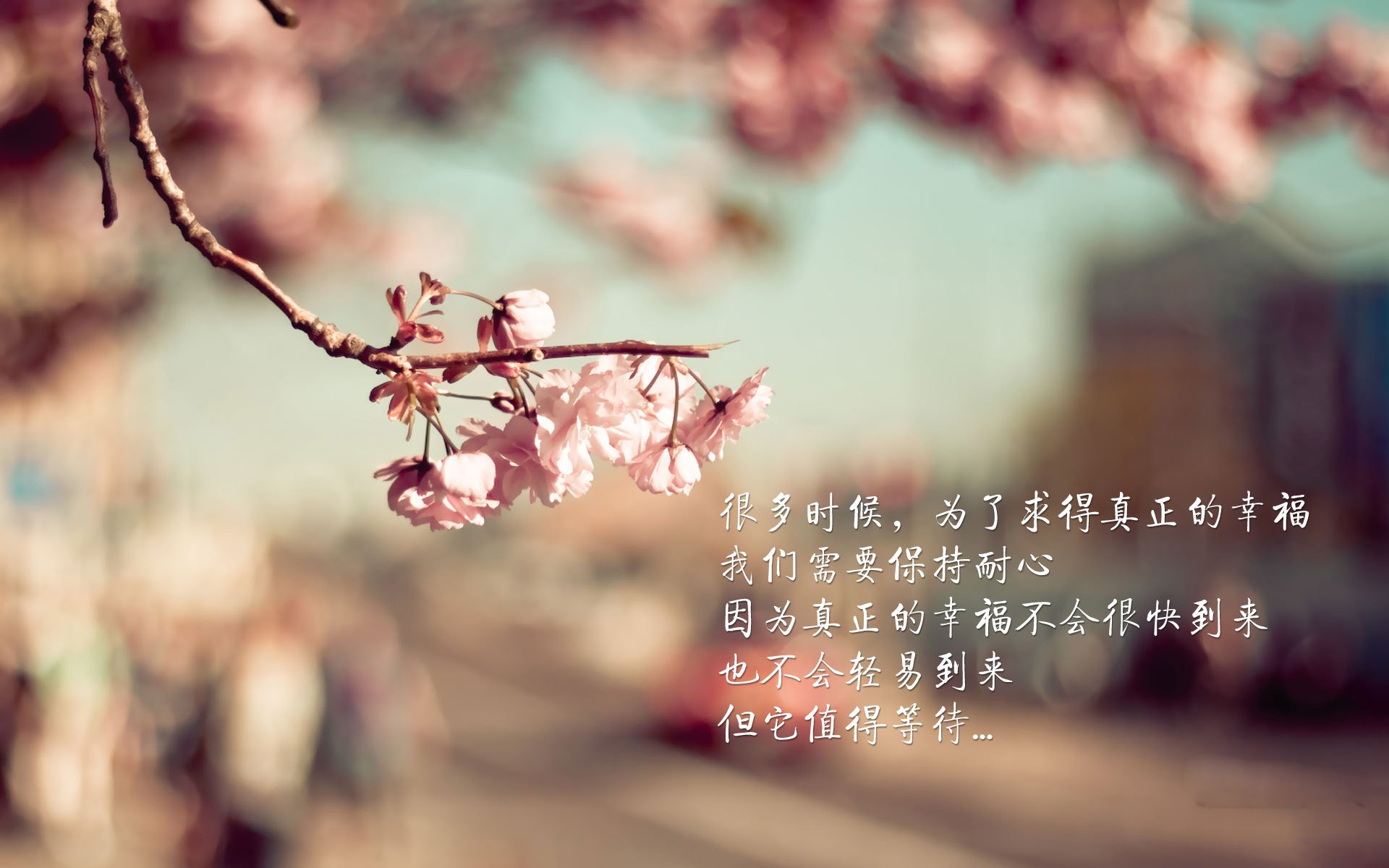超越武士道,莱比锡红牛的系统足球如何拆解日本足球美学,及贝林厄姆的完美答卷