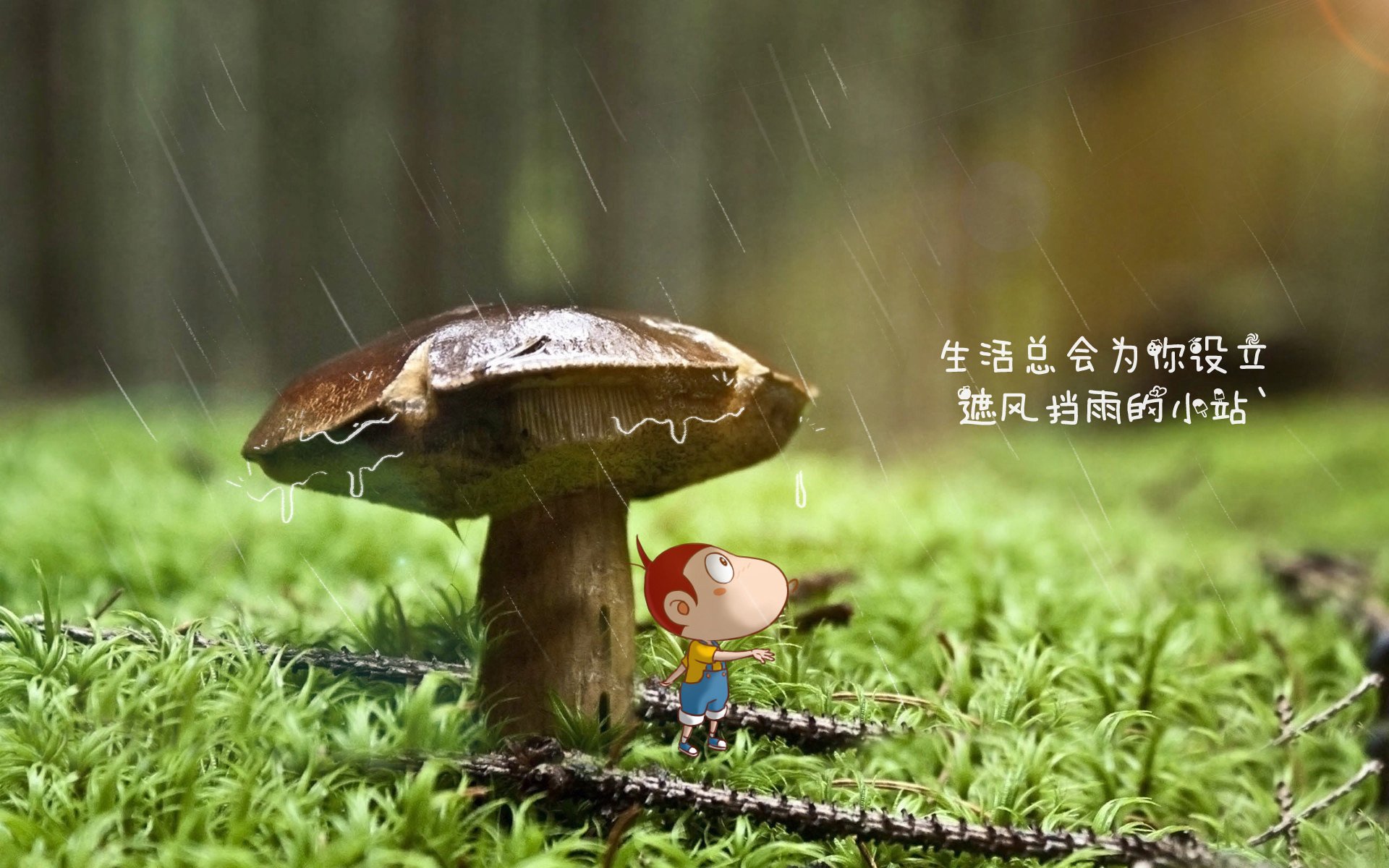 隐秘航路,从马拉多纳的圣殿到安第斯的回响—解码那不勒斯的欧冠晋级密码