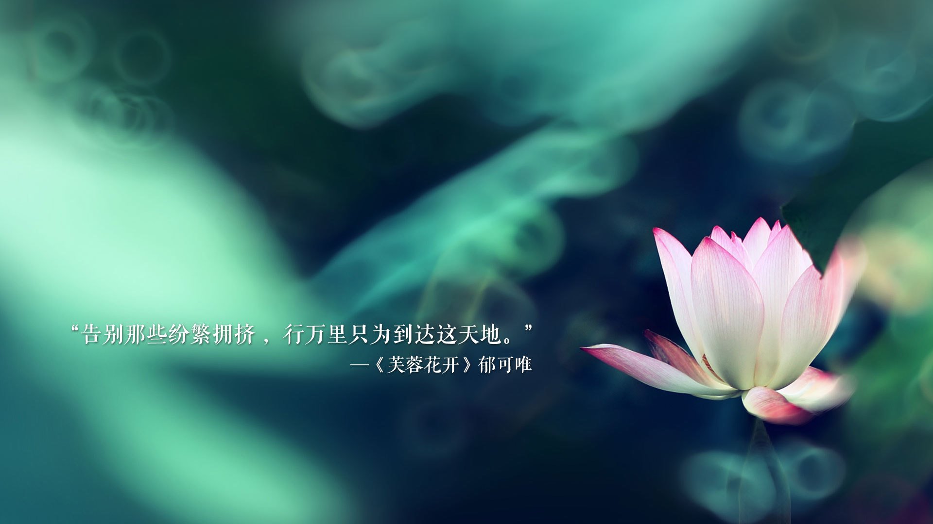 极速之心与坚韧之魂，当F1街道赛的引擎轰鸣，与步行者击穿奥兰多的午夜心跳同频共振