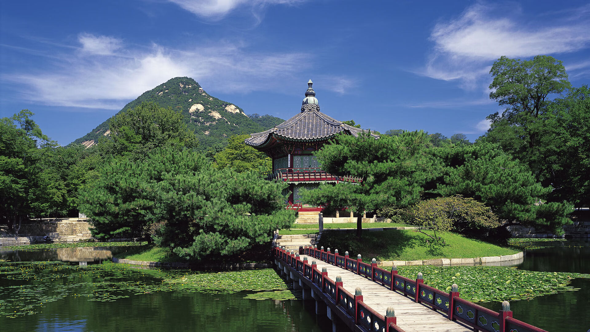 开云体育登录-冰与火之歌，范弗利特用热火式节奏冻结雷霆，在2026世界杯书写无名者的封神榜