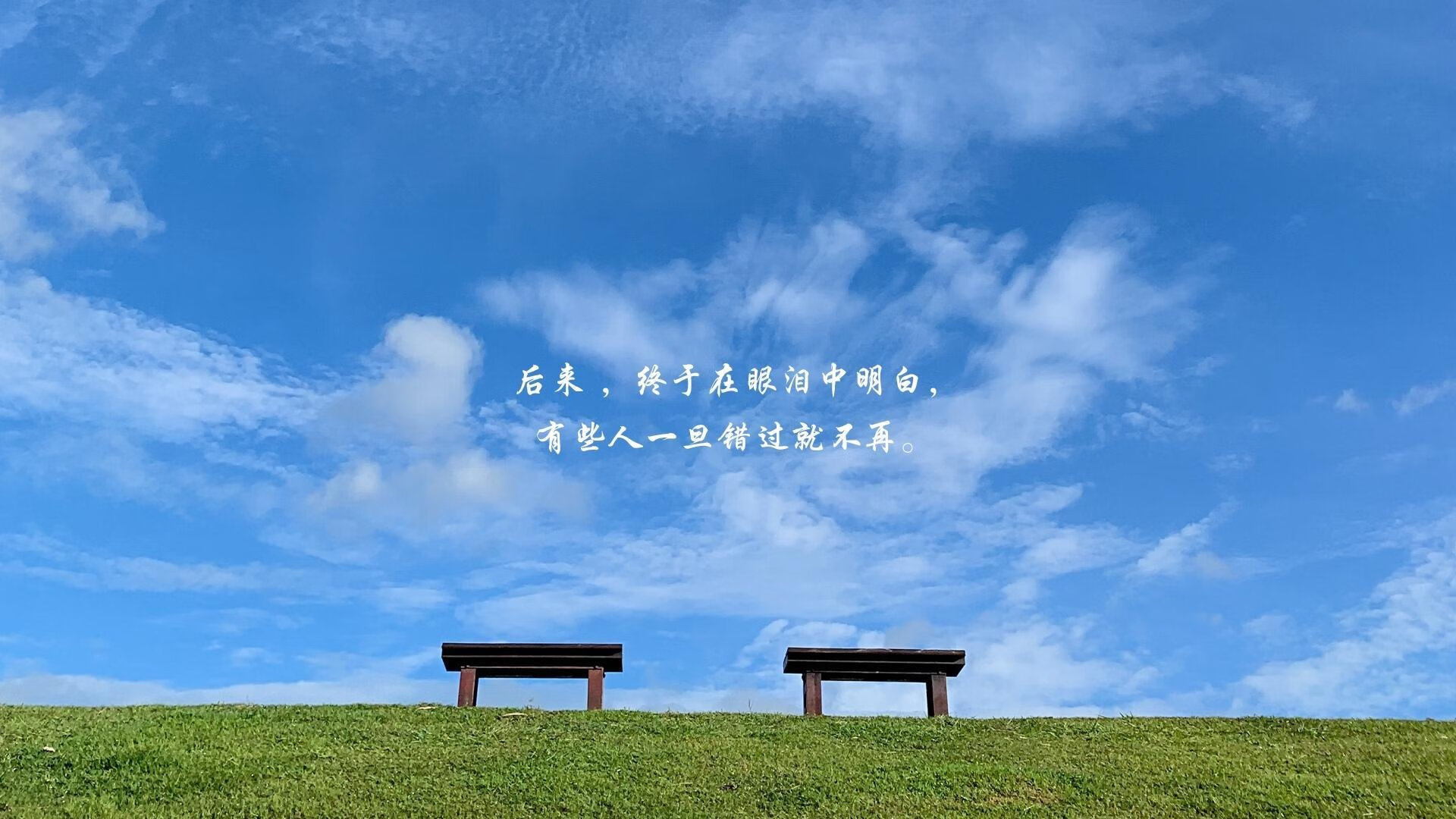 橙白风暴,2026世界杯黑马之战,库尔图瓦神级扑救击碎波兰童话